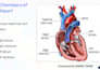 craft modern and engaging powerpoint slides
